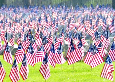 Free Stock Photo: American flags in a cemetery