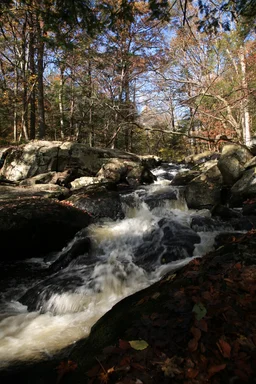 Free Stock Photo: A mountain stream on a fall day