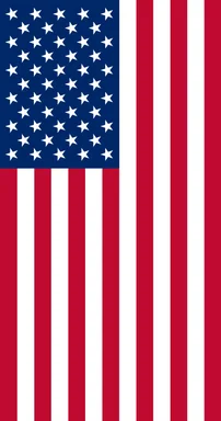 Free Stock Photo: Vertical illustration of an American flag