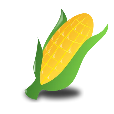 Free Stock Photo: Illustration of an ear of corn