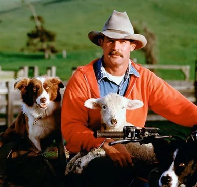 Free Stock Photo: Farmer with dogs and sheep