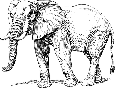 Free Stock Photo: Illustration of an elephant