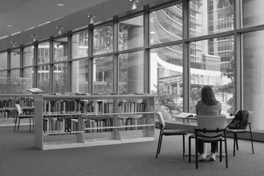 Free Stock Photo: A woman sitting in a library