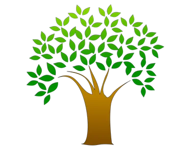 Free Stock Photo: Illustration of a tree with leaves