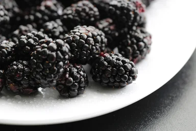 Free Stock Photo: Closeup of a plate of blackberries