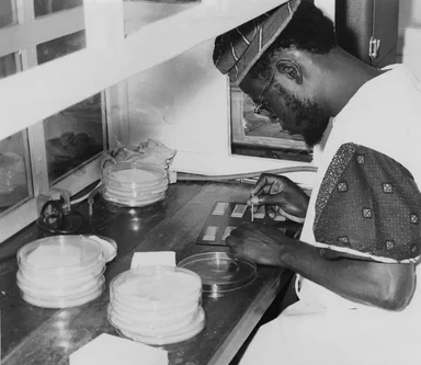 Free Stock Photo: A researcher doing smallpox-related investigating in a laboratory