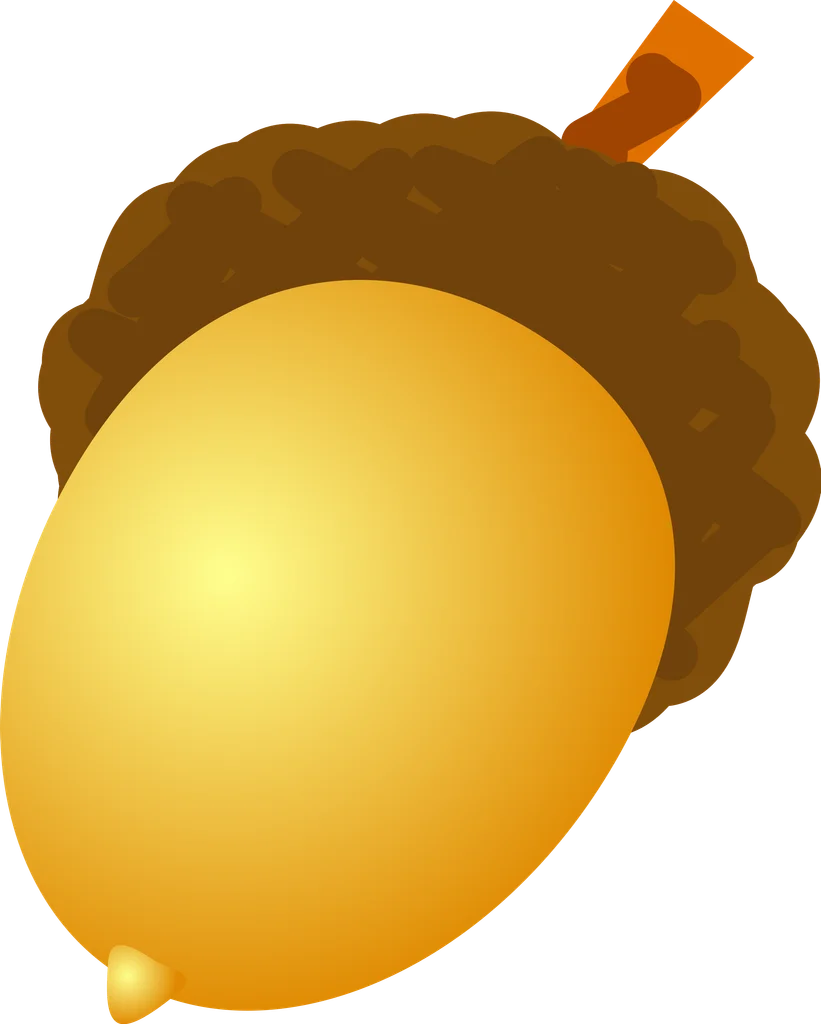 Illustration of an acorn : Free Stock Photo