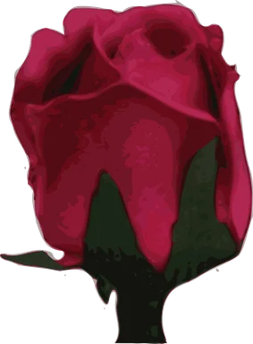 Free Stock Photo: Illustration of a purple rose