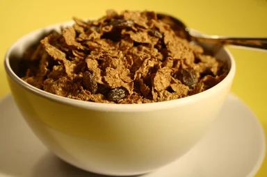 Free Stock Photo: A bowl of cereal with raisins