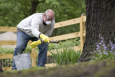 Free Stock Photo: A man spreading fertilizer on his garden