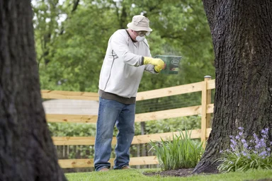 Free Stock Photo: A man spreading fertilizer on his garden