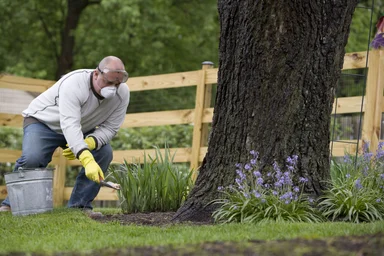 Free Stock Photo: A man spreading fertilizer on his garden