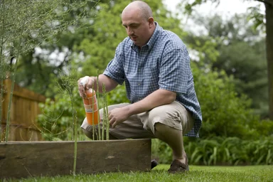 Free Stock Photo: A man spraying a pesticide on some plants in his garden