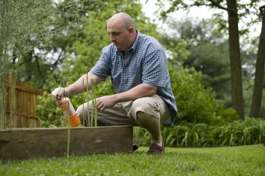 Free Stock Photo: A man spraying a pesticide on some plants in his garden