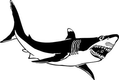 Free Stock Photo: Illustration of a shark