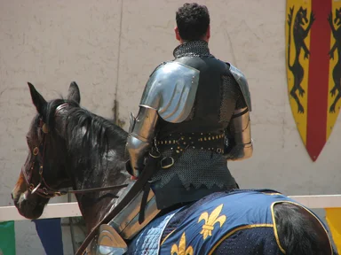 Free Stock Photo: Back of knight on a horse