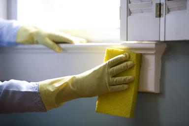 Free Stock Photo: An African-American woman cleaning a window