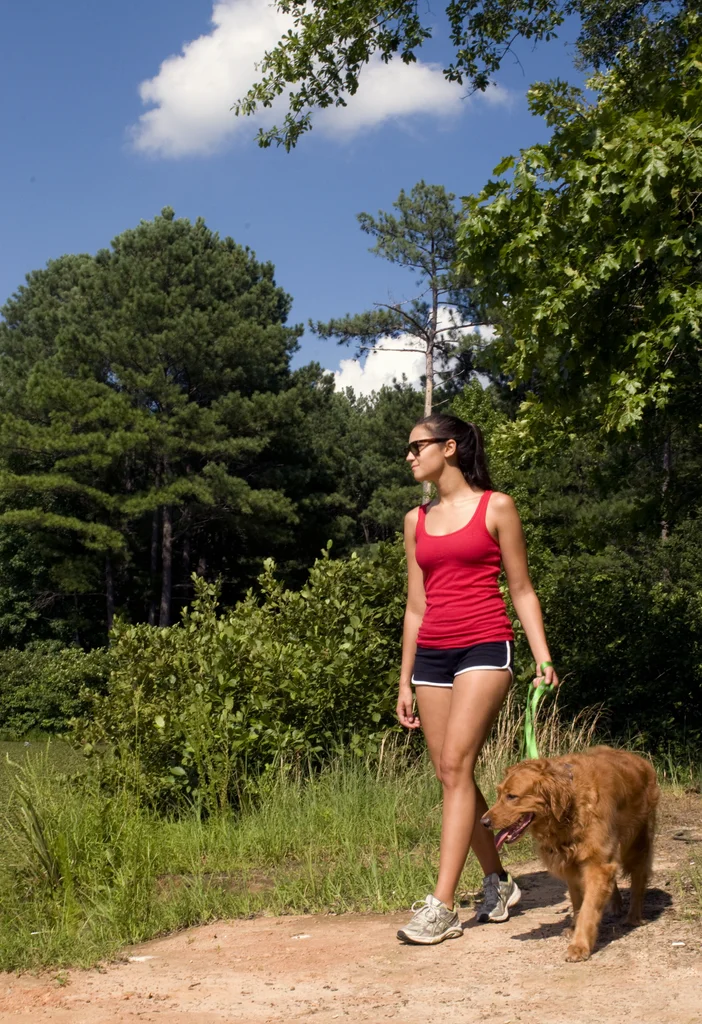 A young woman walking her dog outdoors : Free Stock Photo
