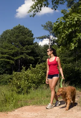 Free Stock Photo: A young woman walking her dog outdoors