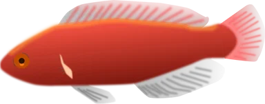 Free Stock Photo: Illustration of a red fish