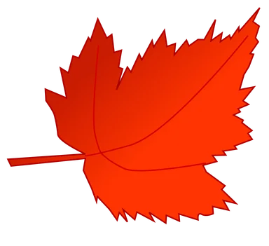 Free Stock Photo: Illustration of a red autumn leaf