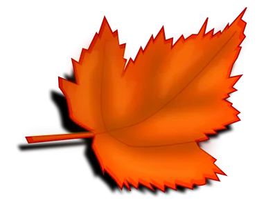 Free Stock Photo: Illustration of an orange autumn leaf