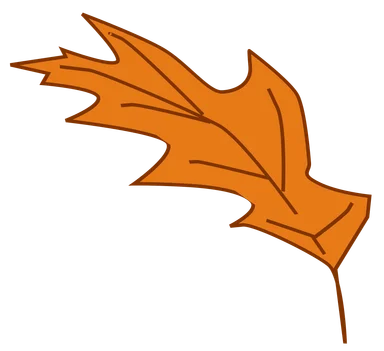Free Stock Photo: Illustration of an orange autumn leaf