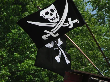 Free Stock Photo: Two pirate flags
