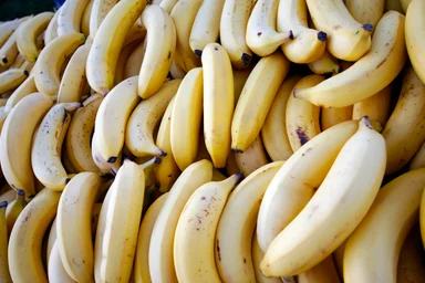 Free Stock Photo: Rows of bunches of bananas