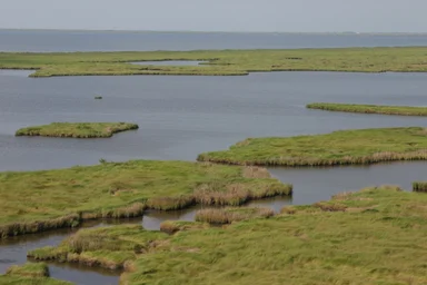 Free Stock Photo: Aerial view of a marsh