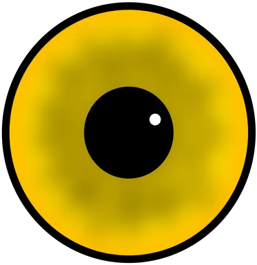 Free Stock Photo: Illustration of a human eye