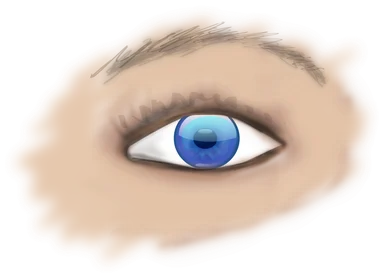Free Stock Photo: Illustration of a human eye