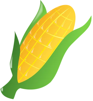 Free Stock Photo: Illustration of an ear of corn