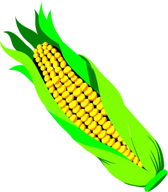 Free Stock Photo: Illustration of an ear of corn