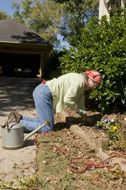 Free Stock Photo: A woman working in her garden