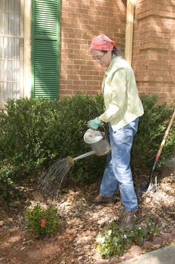 Free Stock Photo: A woman working in her garden