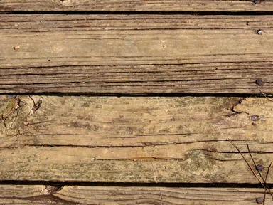 Free Stock Photo: Close-up of a wooden texture