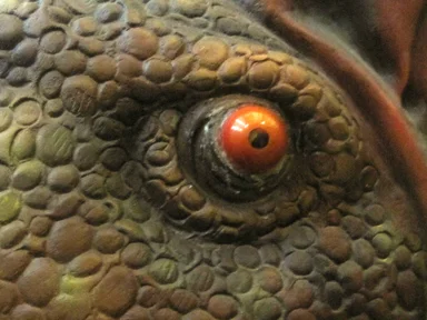 Free Stock Photo: Dinosaur exhibit
