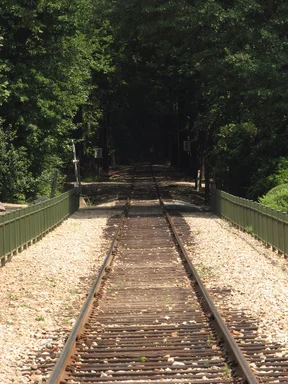 Free Stock Photo: Train tracks leading into the woods