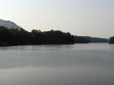 Free Stock Photo: View of a lake surrounded by trees