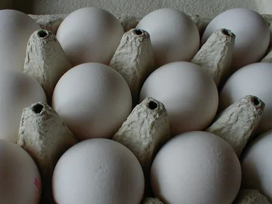 Free Stock Photo: Closeup of eggs in a carton