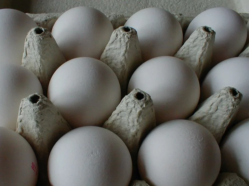 Closeup of eggs in a carton : Free Stock Photo