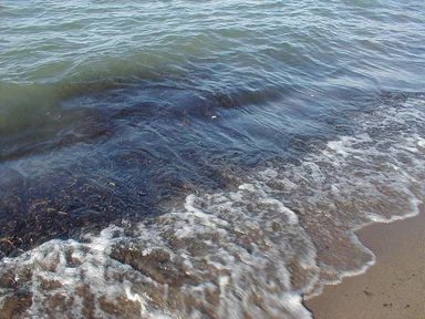 Free Stock Photo: Closeup of waves breaking on the beach