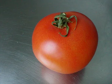 Free Stock Photo: Red tomato on a silver counter