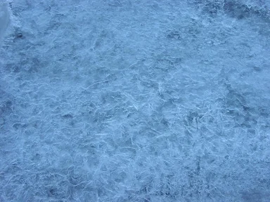 Free Stock Photo: Closeup of frozen water