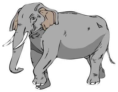 Free Stock Photo: Illustration of an elephant marching