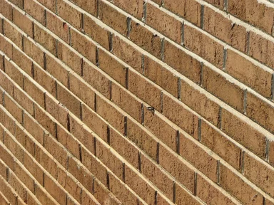 Free Stock Photo: Brick wall