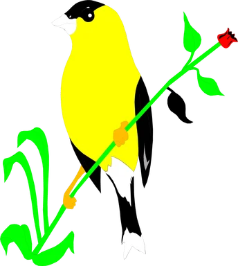 Free Stock Photo: Illustration of a golden finch