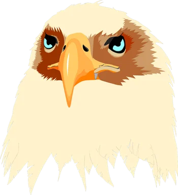 Free Stock Photo: Illustration of an eagle head
