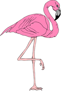 Free Stock Photo: Illustration of a pink flamingo